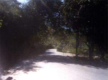 Estrada de acesso a Trilha dos Indios - Fotgrafo: Ney Ramos