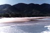 Lopes Mendes